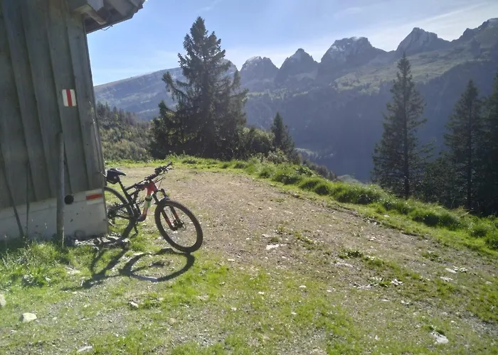 Bijou * انترواسر