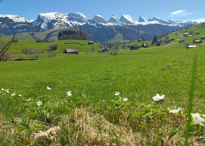 Bijou Daire Unterwasser